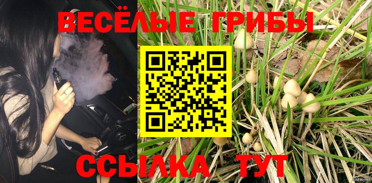 Псилоцибиновые грибы MAGIC MUSHROOMS  Галлюциногенные грибы мицелий  Вход с VPN  Кузнецк 