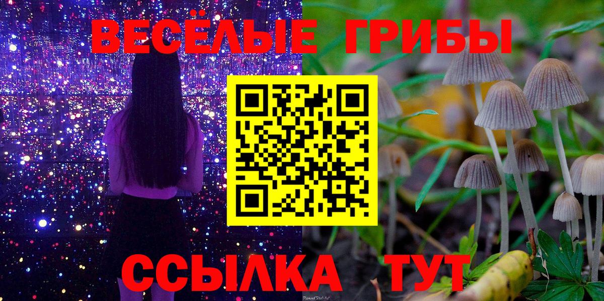 Псилоцибиновые грибы MAGIC MUSHROOMS Кузнецк